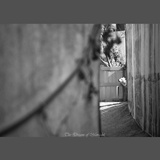 dailyPhoto34